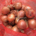 2019 Gansu onion with good price